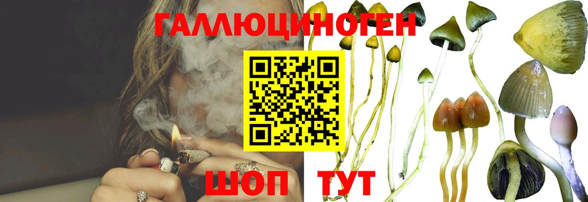 закладки  Галлюциногенные грибы GOLDEN TEACHER  Вход с VPN  Арсеньев 
